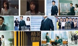 精英律师在线观看,揭秘律政界的风云变幻与智慧较量