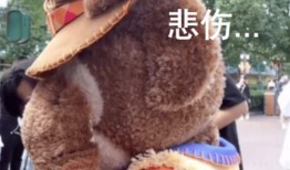 爆料博主玲娜贝儿视频大全,揭秘网红博主幕后生活