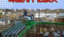 青岛啤酒厂爆料视频,独家爆料视频带你探秘百年老厂