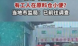 青岛啤酒厂爆料视频,独家爆料视频带你探秘百年老厂