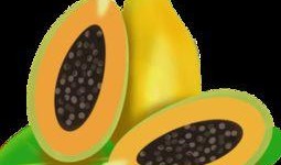 吃瓜动图素材下载免费,动图捕捉吃瓜瞬间，趣味横生