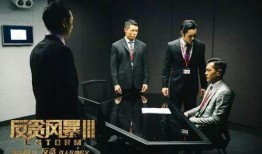 反贪风暴电影在线观看,正义风暴再起，在线观影揭秘反腐风云