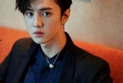 圈内爆料陈哲远李兰迪是真的吗,圈内爆料真实性揭秘