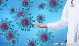 新冠冠状病毒最新爆料,病毒变异与全球防控策略再升级