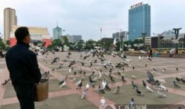 南宁民族广场最新爆料,民族风情与文化盛宴即将启幕