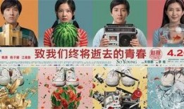 探幽作者爆料视频大全最新,揭秘视频大全背后的精彩故事