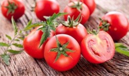 吃瓜林姐番茄免费小说,一场奇幻的阅读冒险