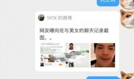 向佐真实爆料视频播放,真实爆料视频背后的故事
