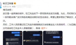 杜江娱乐爆料视频播放,揭秘娱乐圈幕后故事