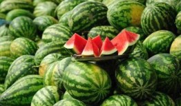 吃瓜吃到头上了网红,揭秘网络红人的崛起之路