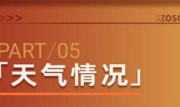苏州头条今天爆料新闻,惊曝重大事件，揭秘背后真相！