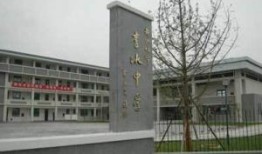 都江堰中学最新爆料,校园风云再起