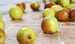 冬枣储存爆料怎么做的视频,揭秘视频实操步骤