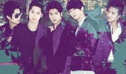 tion在线观看,揭秘热门剧集的魅力所在