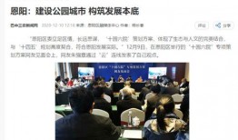 巴中头条最新爆料,揭秘重大事件背后真相！