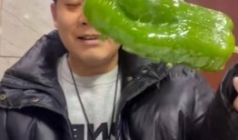 21年网红吃瓜事件,揭秘网络舆论背后的真相与争议