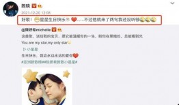 陈妍希找卓伟爆料视频,揭秘娱乐圈幕后真相