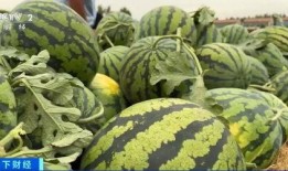 吃瓜吃到头上了网红,揭秘网络红人的崛起之路