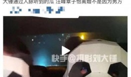 刘大锤爆料汪峰视频播放,揭秘幕后真相