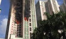 都市爆料深圳新闻,聚焦热点事件，解码城市脉搏