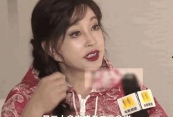 四火姐姐爆料了吗视频下载,揭秘幕后真相