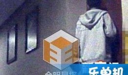 爆料王胖的视频,独家爆料背后的惊人真相