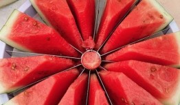 免费吃瓜每日大赛是真的吗,真相还是噱头？