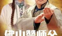 佛山赞师父在线观看,探寻佛山武术传承之旅
