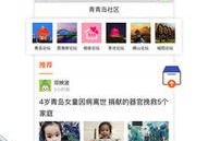 新闻爆料青岛新闻网,揭秘青岛最新热点事件