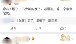吃瓜今日爆料新闻视频,今日热点新闻视频大揭秘