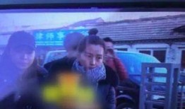 爆料日本离婚案件视频,视频爆料揭示婚姻破裂背后真相