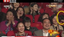 蛇年春晚爆料视频,揭秘幕后花絮，笑料与感动齐飞