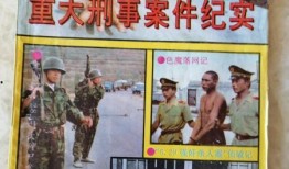 刑事案件新闻纪实爆料,揭秘一起刑事案件背后的真相