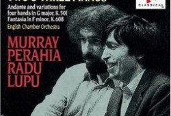 andante在线观看,探索andante在线观看的视听盛宴