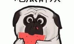 你的吃瓜日记在线观看免费,免费在线观看的幕后故事