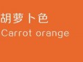 橙色你在线观看,在线观看的视觉盛宴