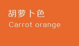 橙色你在线观看,在线观看的视觉盛宴