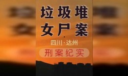 刑事案件新闻纪实爆料,揭秘一起刑事案件背后的真相