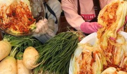 辣白菜爆料新闻视频播放,揭秘幕后真相，引发网友热议