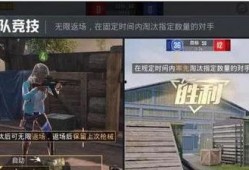 和平精英爆料大瓜视频,揭秘游戏幕后真相与精彩瞬间