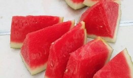 免费吃瓜每日大赛是真的吗,真相还是噱头？