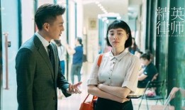 精英律师在线观看,揭秘律政界的风云变幻与智慧较量