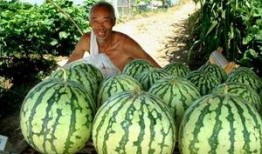 200万网红吃瓜,揭秘娱乐圈最新瓜田盛宴