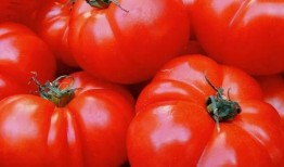 吃瓜林姐番茄免费小说,一场奇幻的阅读冒险