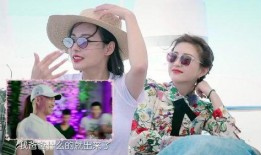 谁爆料张嘉倪的视频播放,网友热议