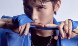 娱乐大爆料王源彭昱畅,揭秘幕后故事与精彩瞬间