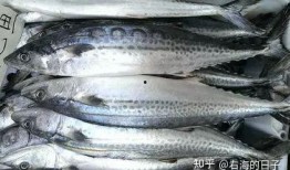 北极鲶鱼 爆料视频大全,独家爆料视频大盘点