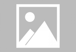 原神温迪最新爆料图片大全,神秘外观与技能大揭秘