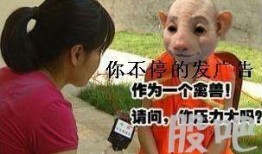 《禽兽》在线观看,揭秘人性黑暗面的惊悚悬疑之旅