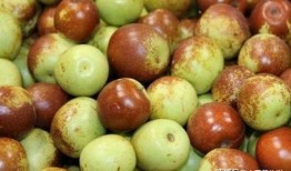 冬枣储存爆料怎么做的视频,揭秘视频实操步骤